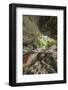 Oparara Arch-Rob Tilley-Framed Photographic Print