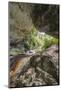 Oparara Arch-Rob Tilley-Mounted Photographic Print