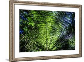 Oparara Basin, Karamea, West Coast, South Island, New Zealand, Pacific-Michael-Framed Photographic Print