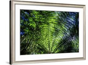 Oparara Basin, Karamea, West Coast, South Island, New Zealand, Pacific-Michael-Framed Photographic Print