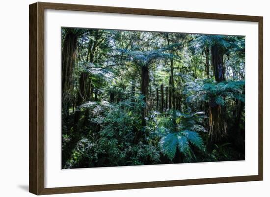 Oparara Basin, Karamea, West Coast, South Island, New Zealand, Pacific-Michael-Framed Photographic Print