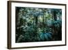 Oparara Basin, Karamea, West Coast, South Island, New Zealand, Pacific-Michael-Framed Photographic Print