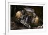 Opel Olympia-holger droste-Framed Photographic Print