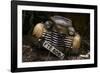 Opel Olympia-holger droste-Framed Photographic Print