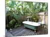 Open Air Bath at Luxury Hotel, Formerly Ian Fleming's House, Goldeneye, St. Mary-Sergio Pitamitz-Mounted Photographic Print
