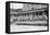 Open Air Trolley of Brooklyn Rapid Transit Is Passenger Packed-null-Framed Stretched Canvas