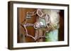 Open and Shut-Dana Styber-Framed Photographic Print