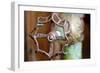 Open and Shut-Dana Styber-Framed Photographic Print