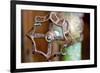 Open and Shut-Dana Styber-Framed Photographic Print