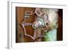 Open and Shut-Dana Styber-Framed Photographic Print