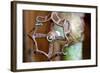 Open and Shut-Dana Styber-Framed Photographic Print