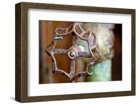 Open and Shut-Dana Styber-Framed Photographic Print