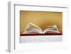 Open Bible on altar, Haute-Savoie, France, Europe-null-Framed Photographic Print