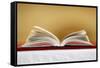 Open Bible on altar, Haute-Savoie, France, Europe-null-Framed Stretched Canvas