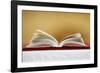 Open Bible on altar, Haute-Savoie, France, Europe-null-Framed Photographic Print