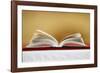 Open Bible on altar, Haute-Savoie, France, Europe-null-Framed Photographic Print