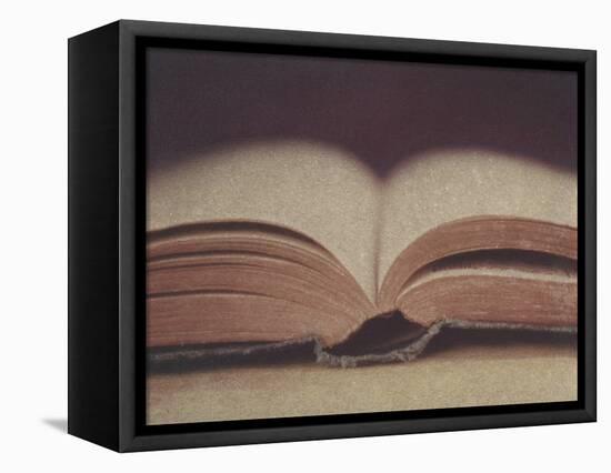 Open Book 11-Jennifer Kennard-Framed Stretched Canvas