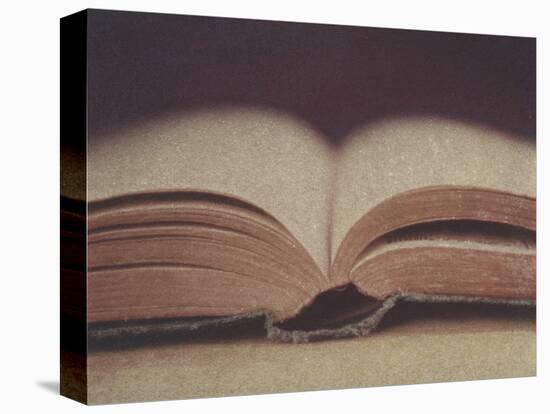 Open Book 11-Jennifer Kennard-Stretched Canvas