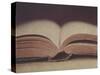 Open Book 11-Jennifer Kennard-Stretched Canvas