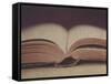 Open Book 11-Jennifer Kennard-Framed Stretched Canvas