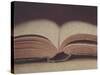 Open Book 11-Jennifer Kennard-Stretched Canvas