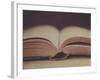 Open Book 11-Jennifer Kennard-Framed Photographic Print