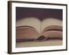 Open Book 11-Jennifer Kennard-Framed Photographic Print