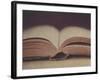 Open Book 11-Jennifer Kennard-Framed Photographic Print