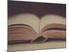 Open Book 11-Jennifer Kennard-Mounted Photographic Print