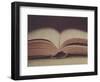 Open Book 11-Jennifer Kennard-Framed Photographic Print