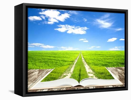 Open Book Of Nature With Way-Olegkalina-Framed Stretched Canvas