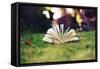 Open Book on Grass-Carolina Hernandez-Framed Stretched Canvas