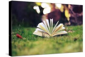 Open Book on Grass-Carolina Hernandez-Stretched Canvas