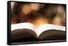 Open Book on Wooden Table with Bokeh Effect in the Background-Chris_Elwell-Framed Stretched Canvas