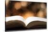 Open Book on Wooden Table with Bokeh Effect in the Background-Chris_Elwell-Stretched Canvas