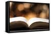 Open Book on Wooden Table with Bokeh Effect in the Background-Chris_Elwell-Framed Stretched Canvas