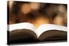 Open Book on Wooden Table with Bokeh Effect in the Background-Chris_Elwell-Stretched Canvas