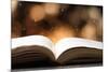 Open Book on Wooden Table with Bokeh Effect in the Background-Chris_Elwell-Mounted Photographic Print