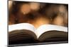 Open Book on Wooden Table with Bokeh Effect in the Background-Chris_Elwell-Mounted Photographic Print