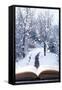 Open Book with Winter Woodland Background and falling Snow-Chris_Elwell-Framed Stretched Canvas