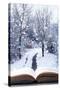 Open Book with Winter Woodland Background and falling Snow-Chris_Elwell-Stretched Canvas