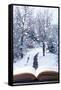 Open Book with Winter Woodland Background and falling Snow-Chris_Elwell-Framed Stretched Canvas