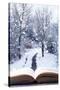 Open Book with Winter Woodland Background and falling Snow-Chris_Elwell-Stretched Canvas