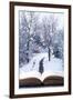 Open Book with Winter Woodland Background and falling Snow-Chris_Elwell-Framed Photographic Print