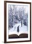 Open Book with Winter Woodland Background and falling Snow-Chris_Elwell-Framed Photographic Print