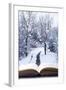 Open Book with Winter Woodland Background and falling Snow-Chris_Elwell-Framed Photographic Print