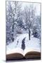 Open Book with Winter Woodland Background and falling Snow-Chris_Elwell-Mounted Photographic Print