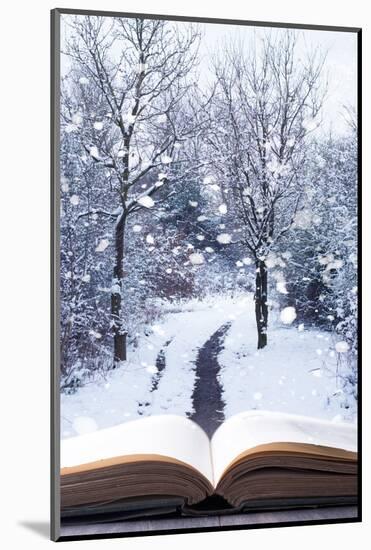 Open Book with Winter Woodland Background and falling Snow-Chris_Elwell-Mounted Photographic Print