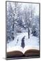 Open Book with Winter Woodland Background and falling Snow-Chris_Elwell-Mounted Photographic Print