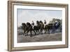 Open Carriage Drawn by Four Horses, 1863, by Guerard, France, 19th Century-null-Framed Giclee Print